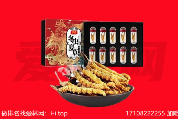 鄂尔多斯市回收虫草.jpg